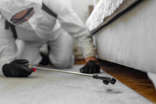 Professional Pest Control technician working in Clay County County, AR